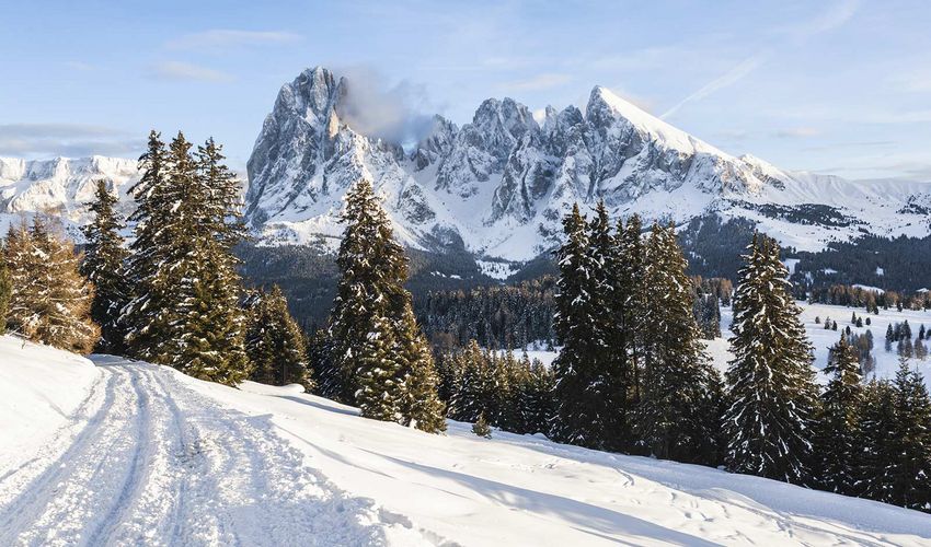 schlern-panorama-schnee